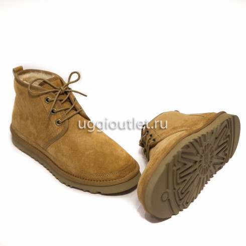 Neumel Chestnut