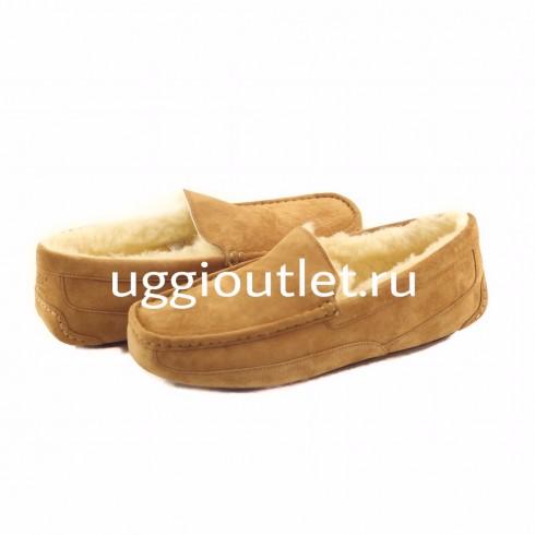 Ascot Chestnut