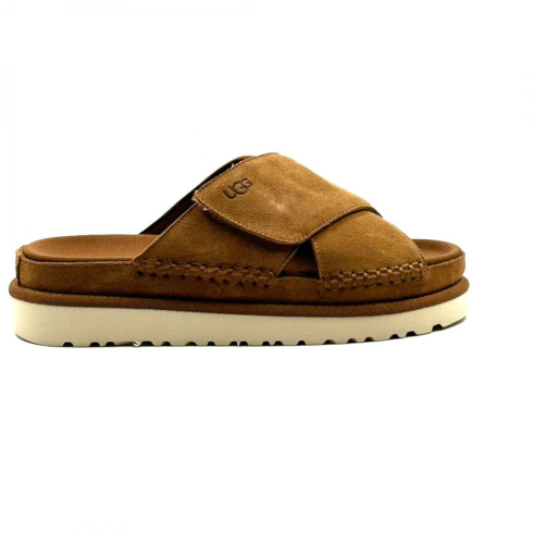 Goldenstar Cross Chestnut