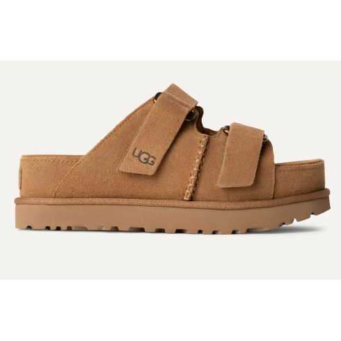 Goldenstar Slide Chestnut