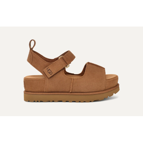 Goldenstar Hi Chestnut