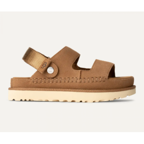 Goldenstar Glide Chestnut